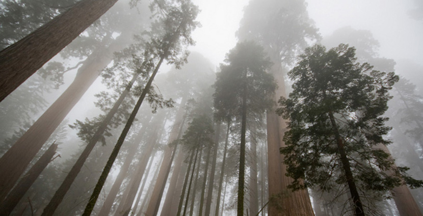 δεός-υπνοθεραπεία-αυτογνωσία